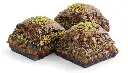 Chocolate Baklava - Cikolatali Baklava.webp