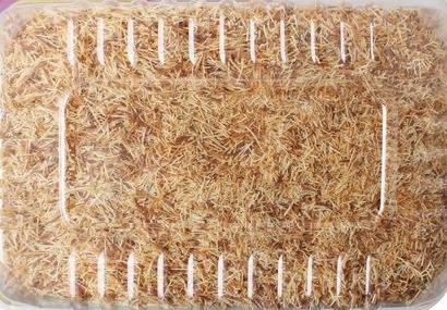 LEZZA Roasted (Kavrulmuş) Kataifi Dough 2x5000 gr